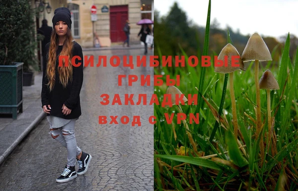 спайс Беломорск