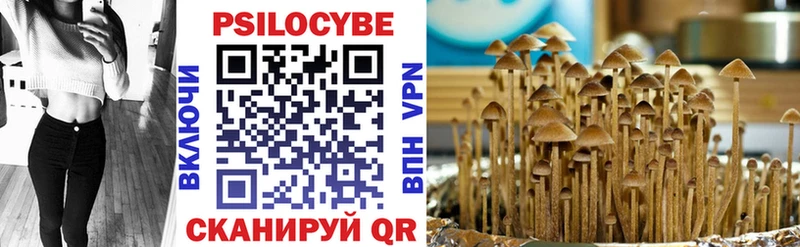 цена наркотик  Кувандык  Псилоцибиновые грибы Psilocybine cubensis 