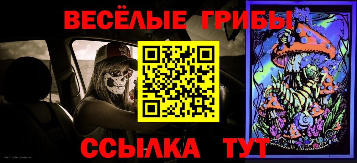 Псилоцибиновые грибы мицелий  Псилоцибиновые грибы ЛСД  Кувандык  Вход с VPN 