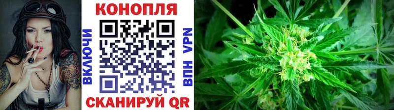 Шишки марихуана план  магазин  наркотиков  Кувандык 